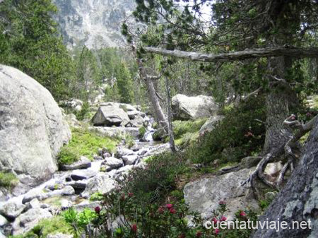 Parque de Aigüestortes. València d´Àneu (Lleida)